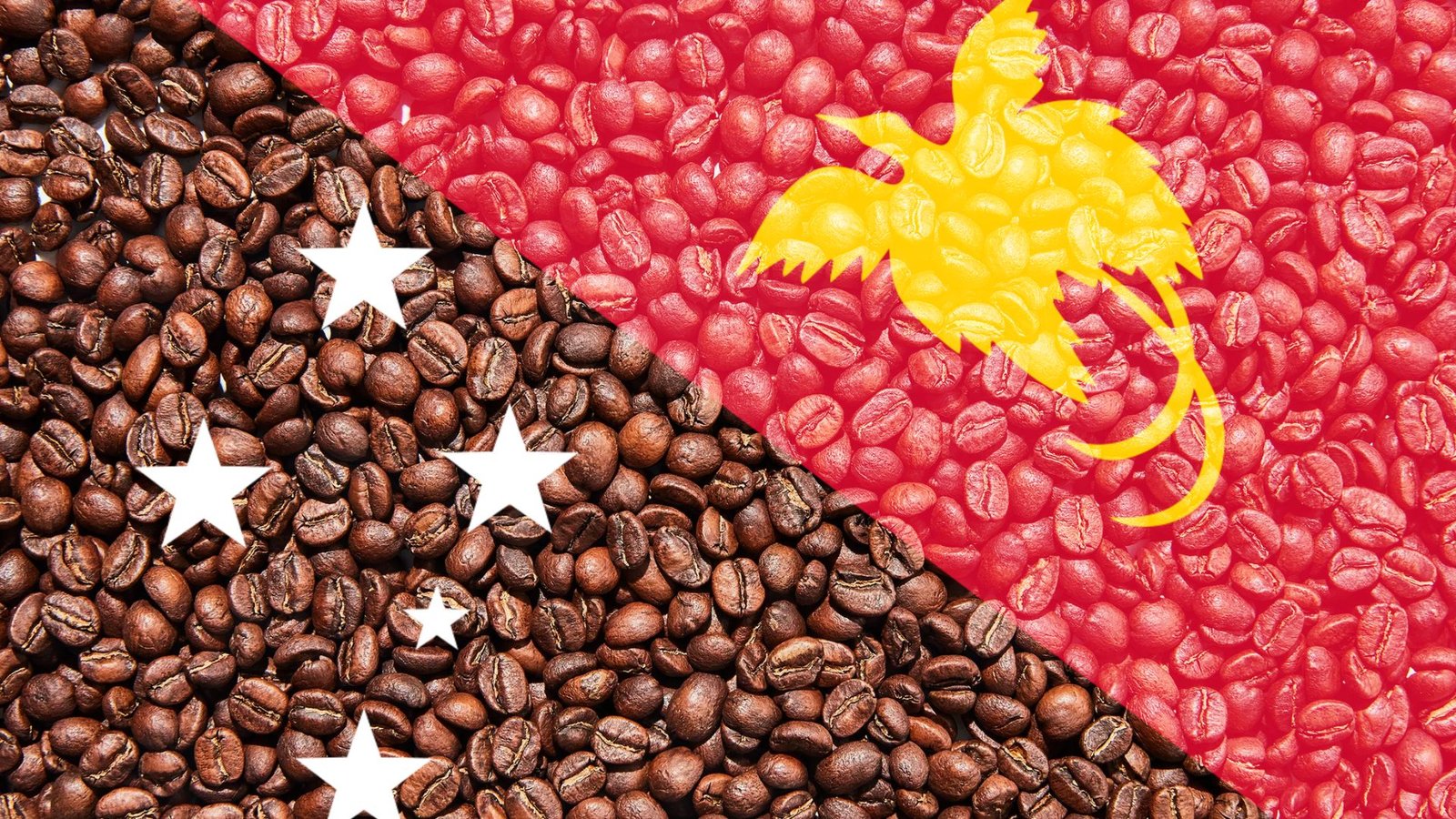 Coffee beans with Papua New Guinea