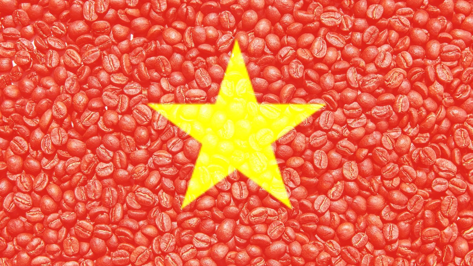 Coffee beans with Vietnam