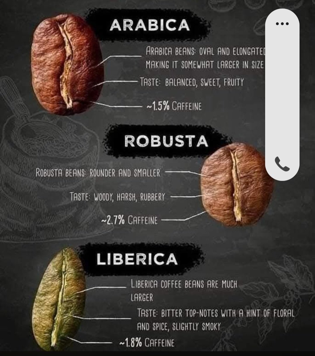 Dark infographic comparing Arabica, Robusta, and Liberica bean shape, flavor, and caffeine content