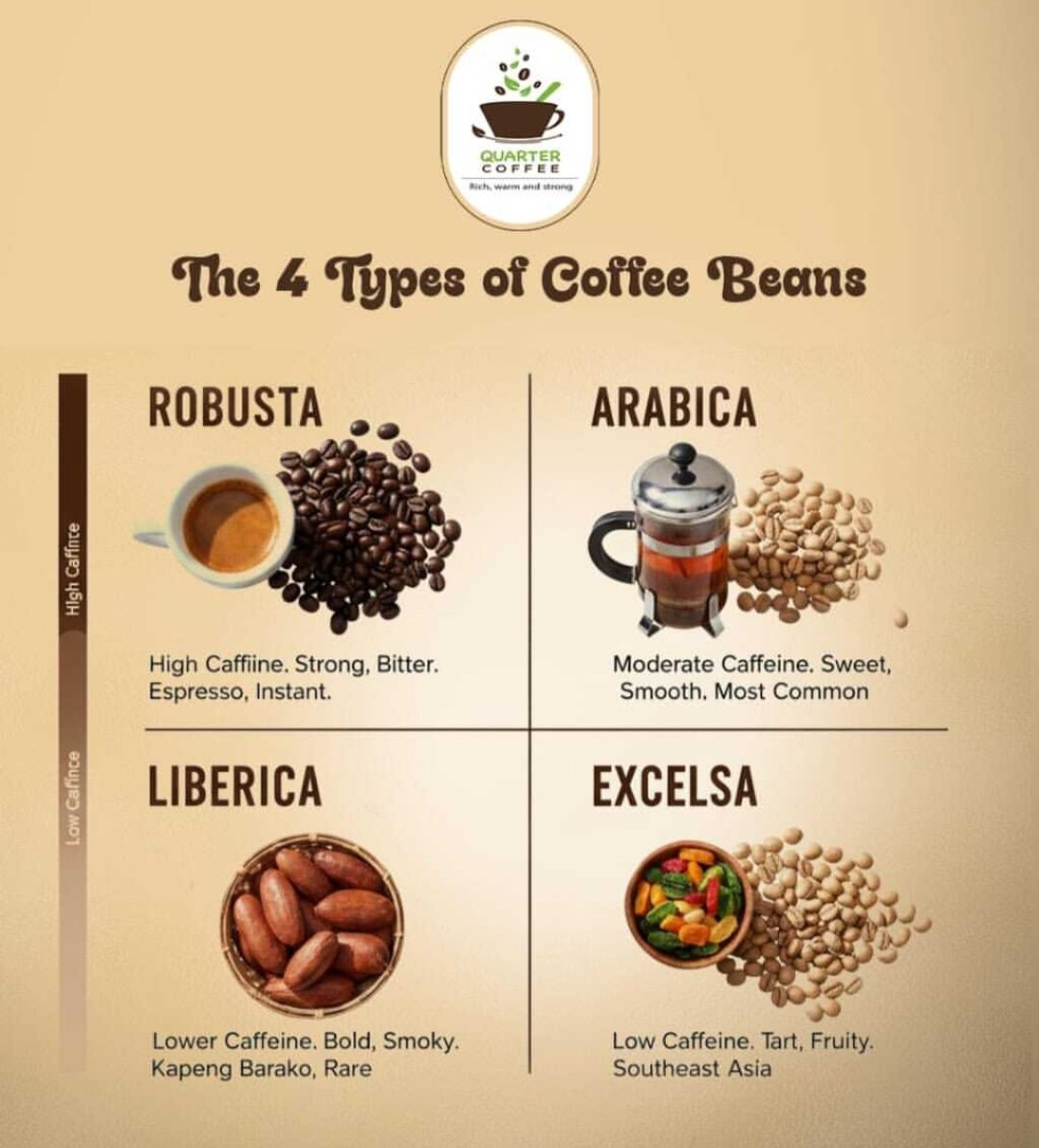 Poster showing the four types of coffee beans: Robusta, Arabica, Liberica, and Excelsa